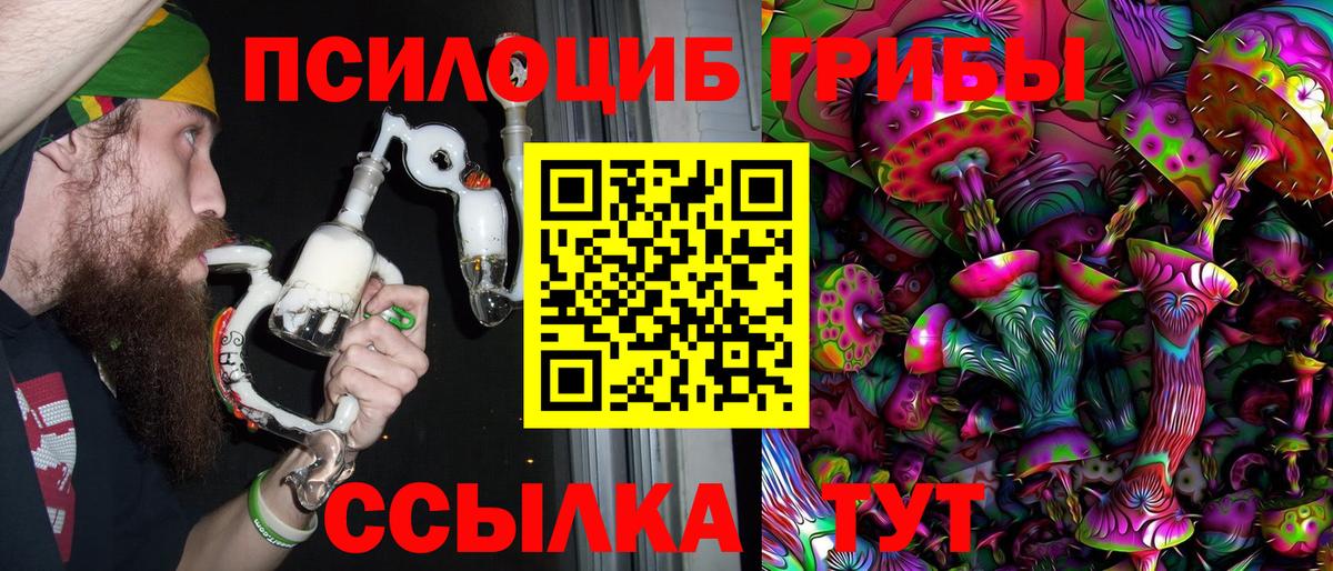 Псилоцибиновые грибы Cubensis Белебей