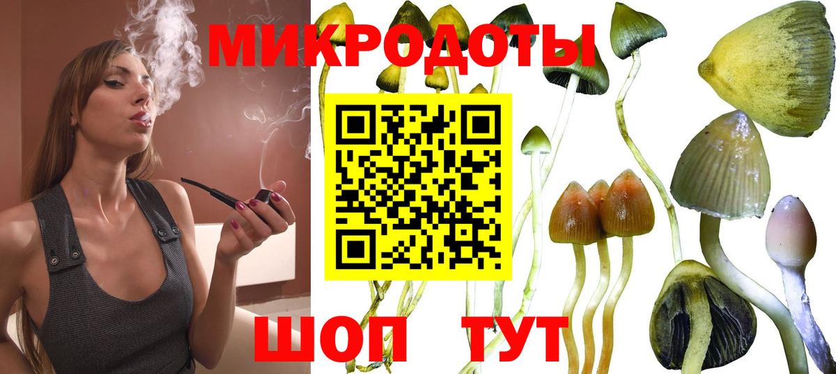 Белебей  Галлюциногенные грибы мухоморы  Вход с VPN  Псилоцибиновые грибы Psilocybe 